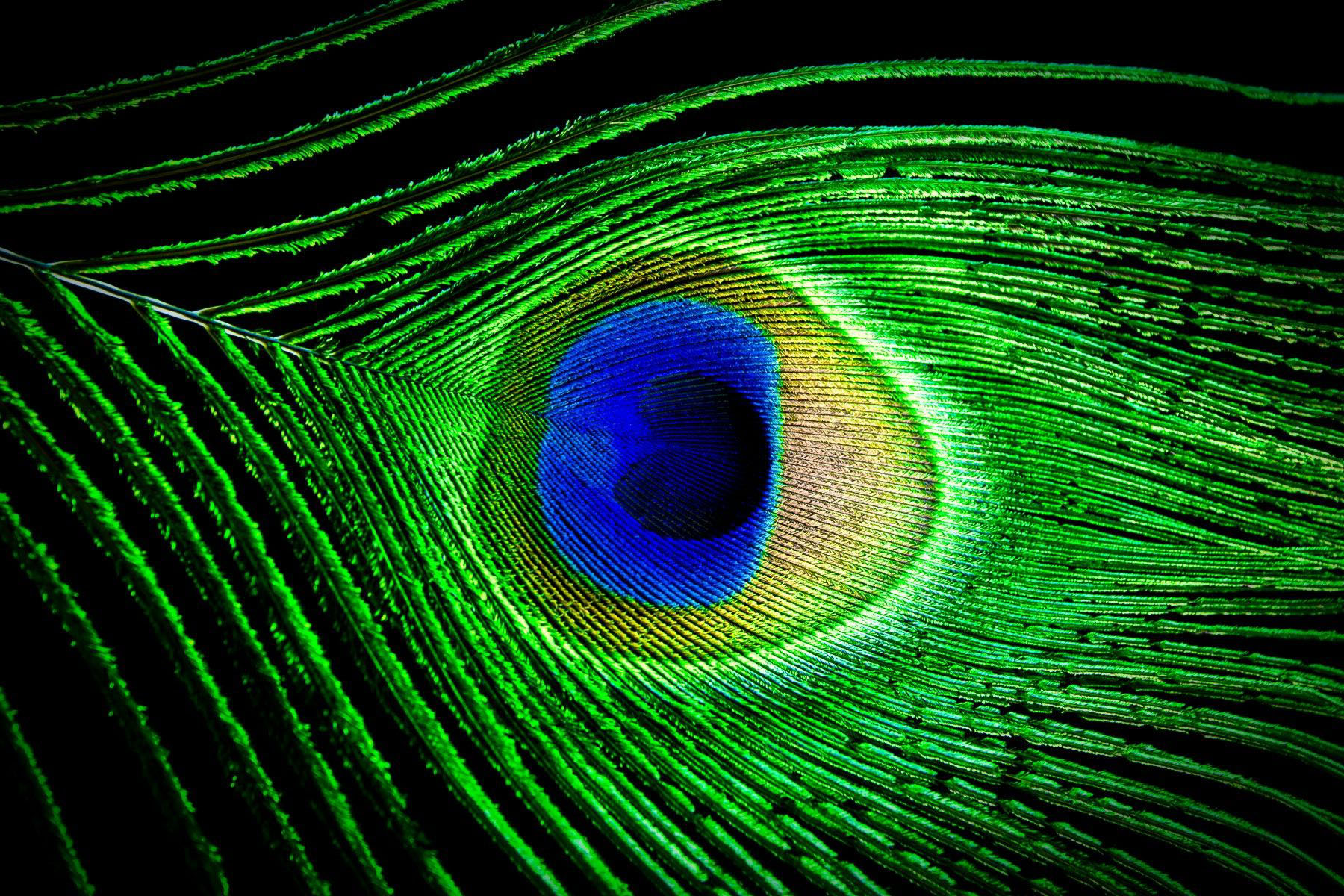 Recovery – Your Neuroplasticity Exercise