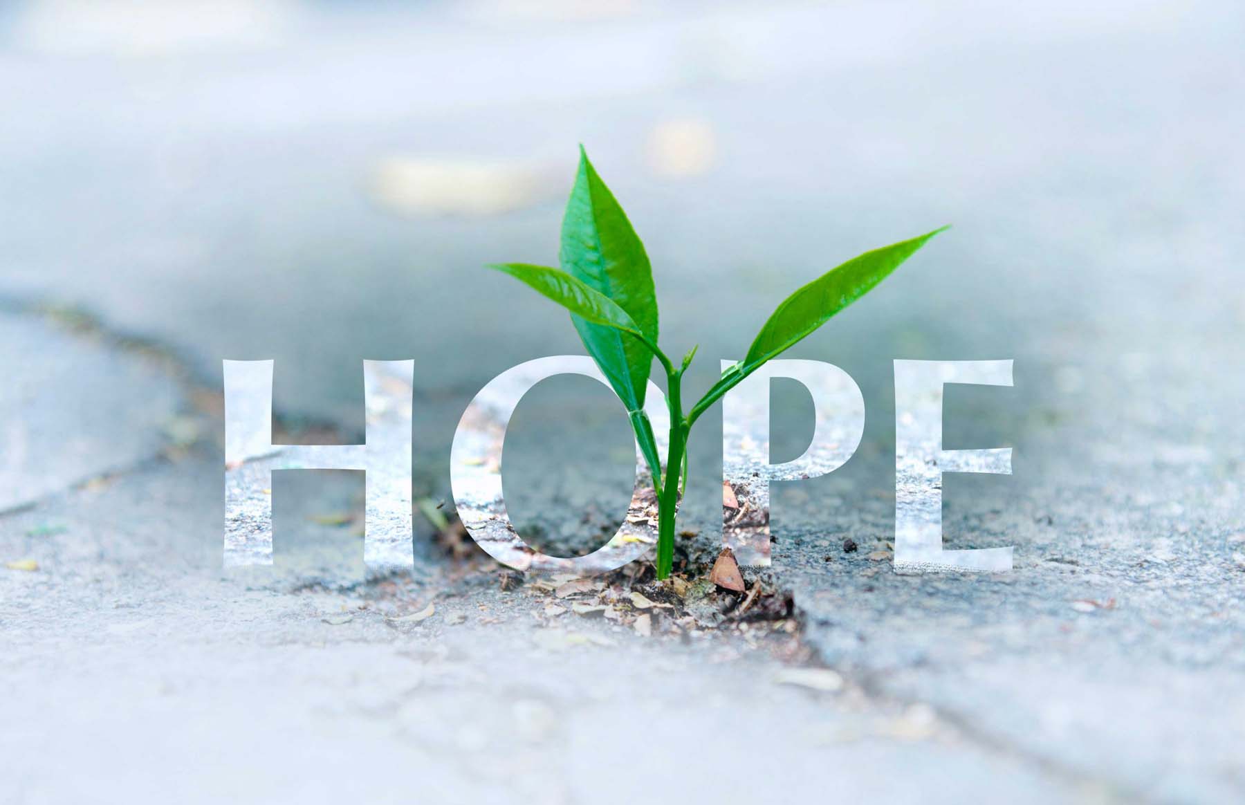 The Power of Hope