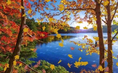 Natural Rhythms of Restoration